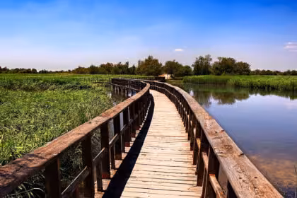 Tablas de Daimiel en primavera (Foto Asaja Ciudad Real) Archivo
