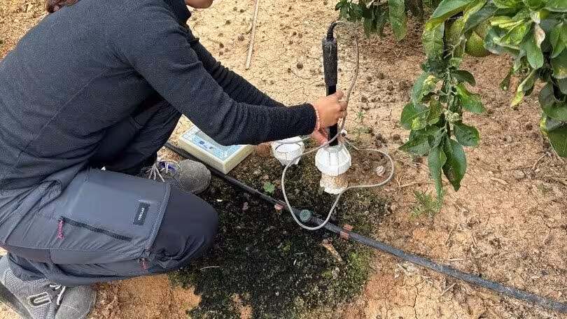 Imagen de la medida de la humedad del suelo durante el ensayo con agentes humectantes (Foto CARM)