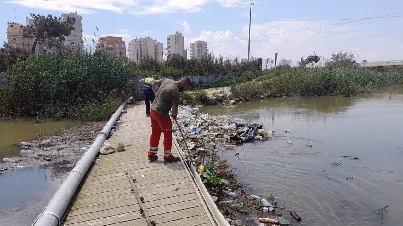 Un operario retira residuos de la desembocadura del r&iacute;o Segura (Foto CHS)