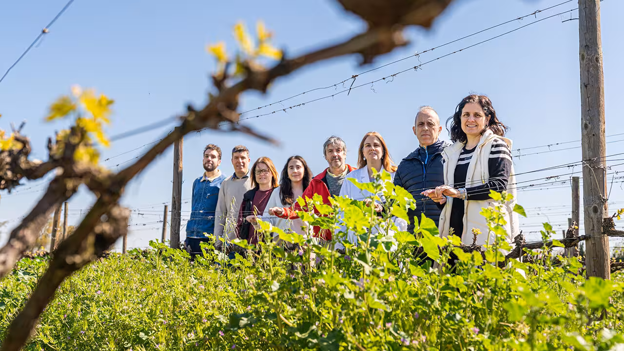 Integrantes del proyecto 'Hypergrape' (Foto Universidad de La Rioja)