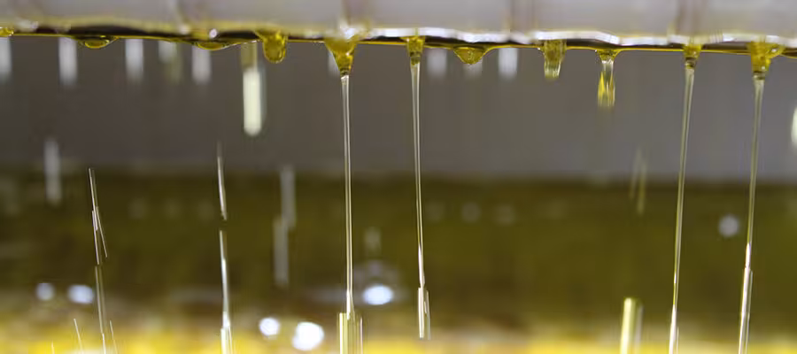 Aceite de oliva en una almazara (Foto Cooperativas AgroAlimentarias Andaluc&iacute;a)