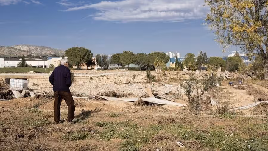 Parcela afectada por la DANA (Foto AVA-Asaja)