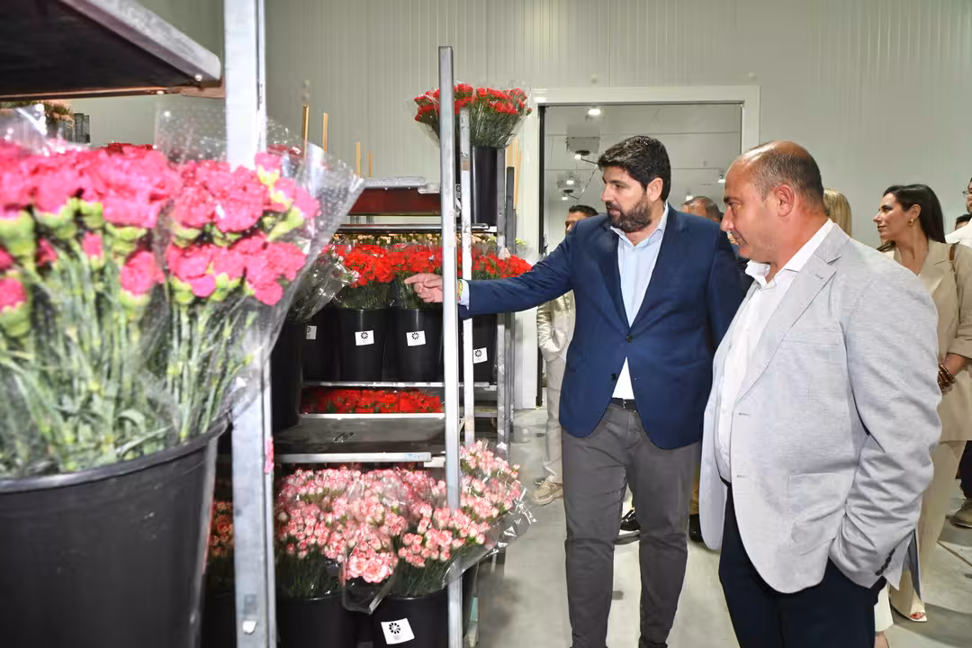 Inauguraci&oacute;n en Ceheg&iacute;n las nuevas instalaciones de Canaraflor (Foto CARM)