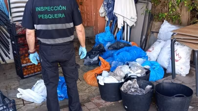 Decomiso de pulpo en Benalm&aacute;dena, M&aacute;laga (Foto Junta de Andaluc&iacute;a)