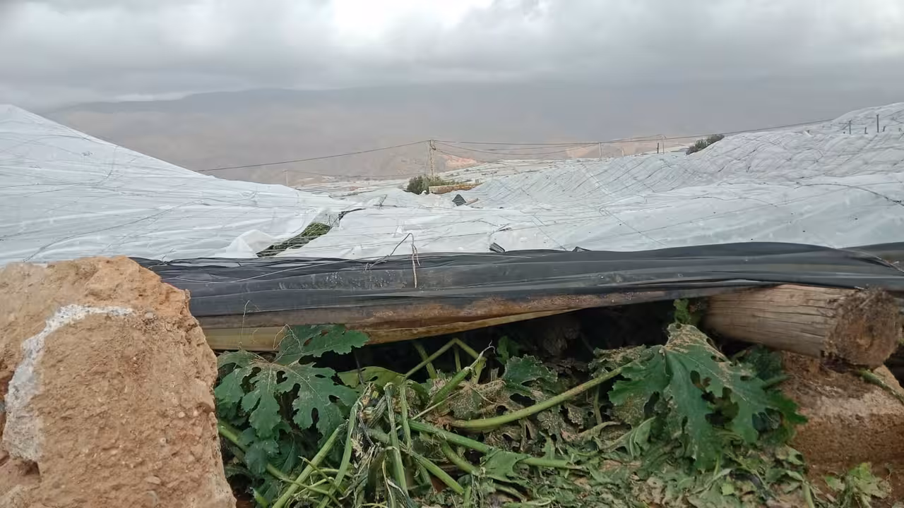 Da&ntilde;os en invernaderos (Foto COAG Almer&iacute;a)