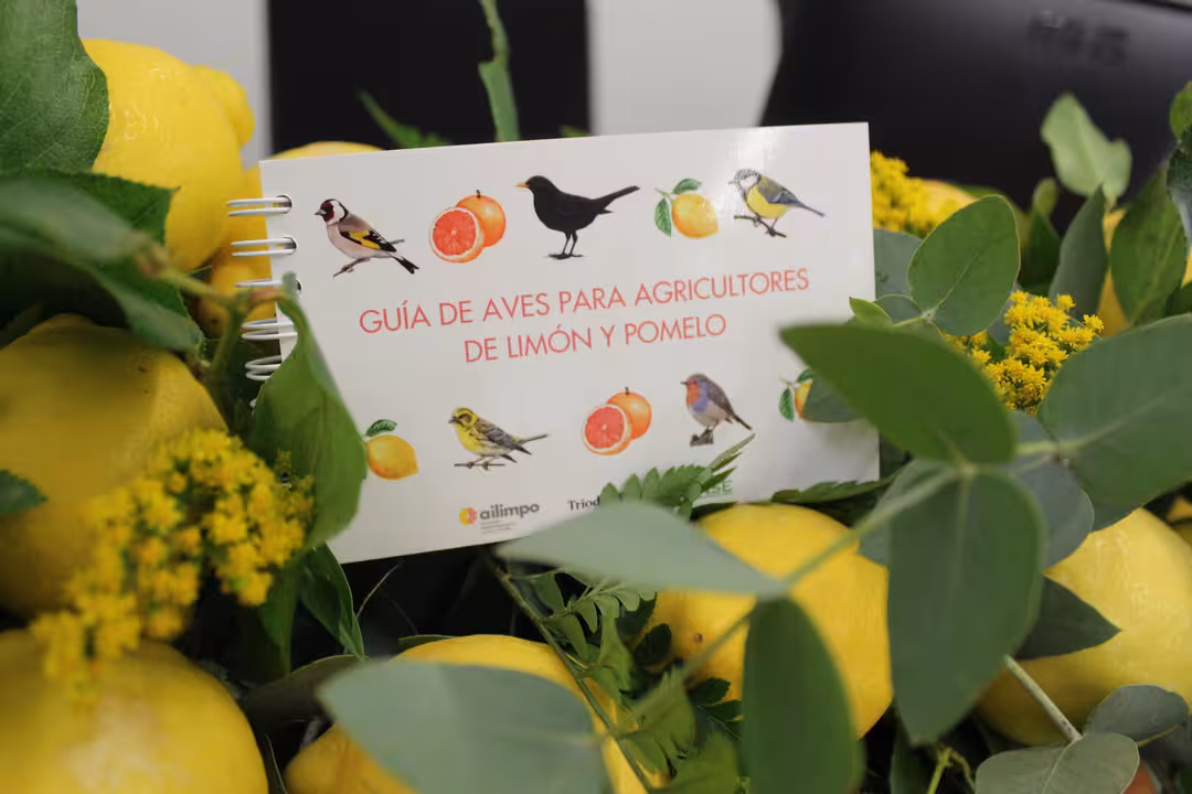 Presentaci&oacute;n de la Gu&iacute;a de Aves en fincas de lim&oacute;n y pomelo (Foto ANSE y Ailimpo)