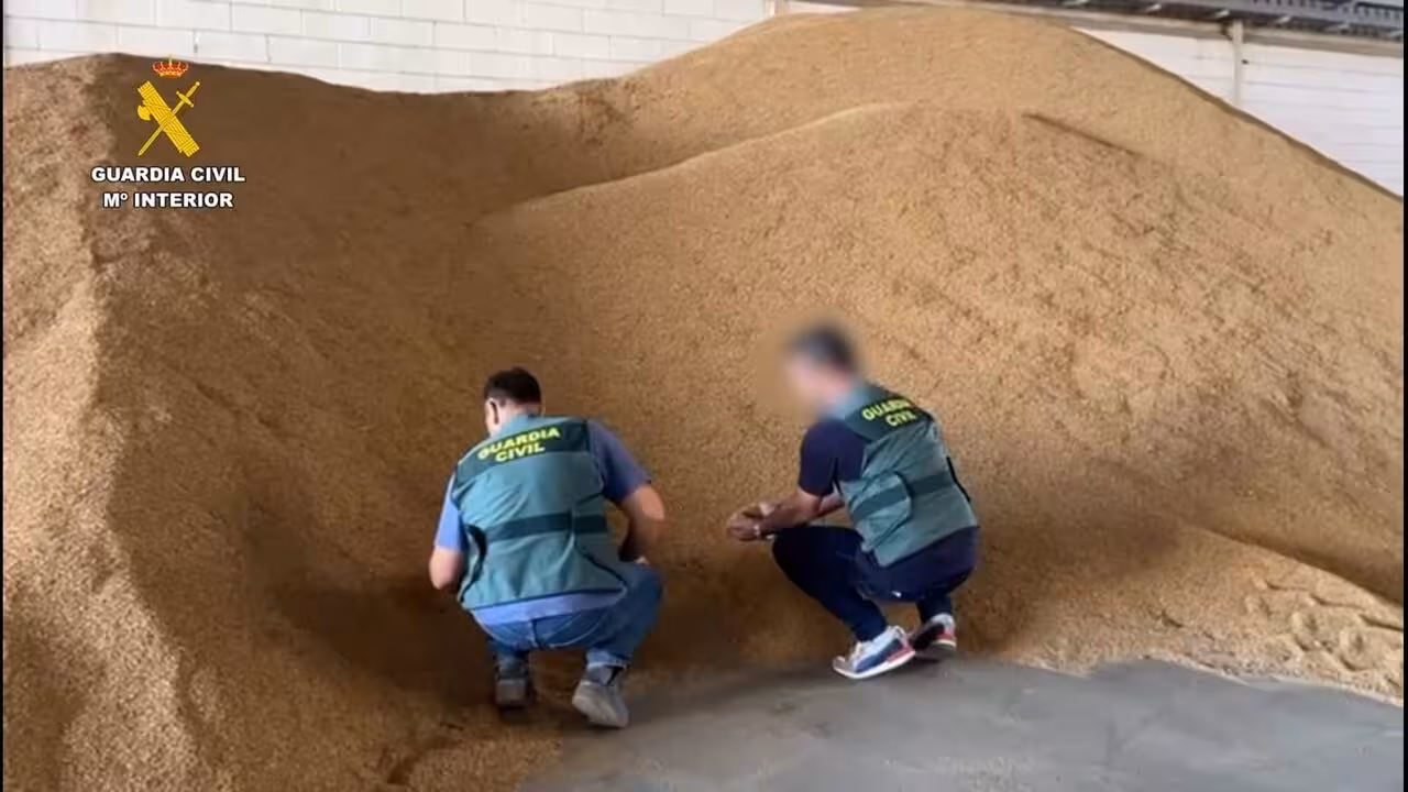 Operaci&oacute;n 'Alxaraf Isle&ntilde;o' sobre arroz robado en Sevilla (Foto Guardia Civil)