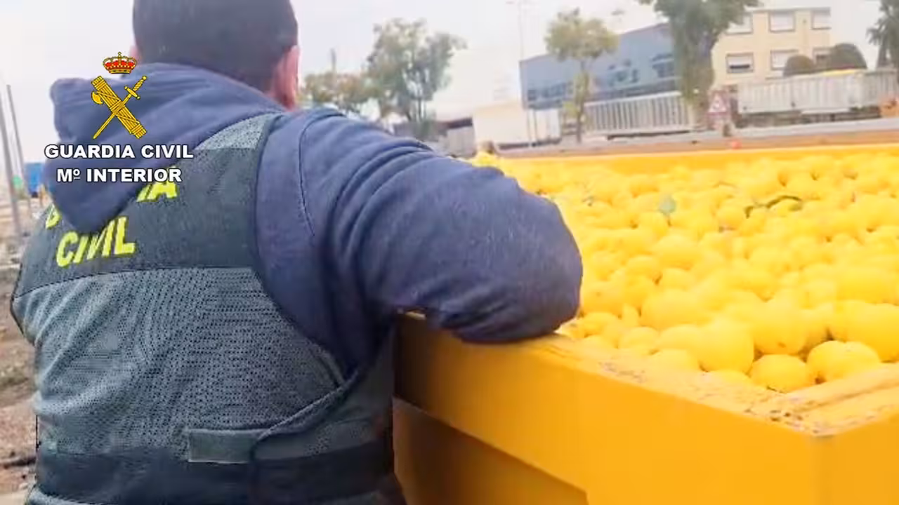 Operaci&oacute;n 'Hot lemon' contra el fraude de lim&oacute;n ecol&oacute;gico (Foto Guardia Civil)