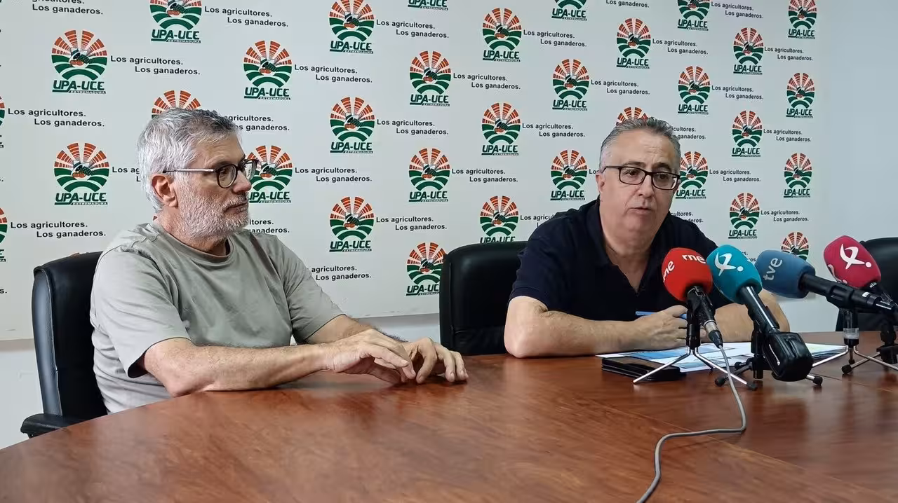 Rueda de prensa sobre la campa&ntilde;a del tomate (Foto UPA_UCE)