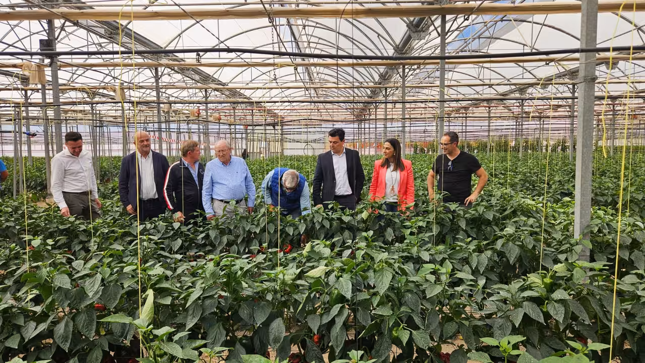 Sara Rubira durante una visita a la plantaci&oacute;n de pimiento ecol&oacute;gico de la empresa Hortamira (Foto CARM) Archivo