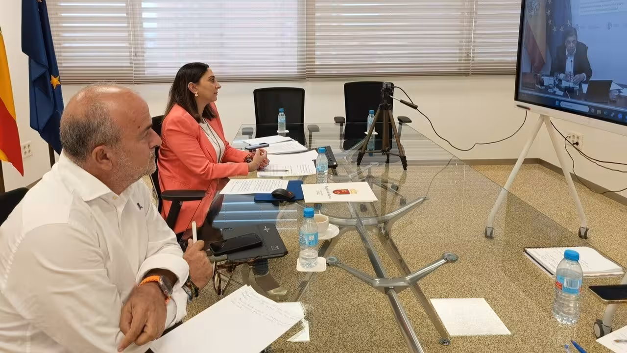 Sara Rubira durante la reuni&oacute;n de la Conferencia Sectorial realizada por videoconferencia (Foto CARM)