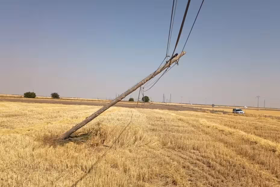 Tendido telef&oacute;nico saqueado (Foto Asaja &Aacute;vila)