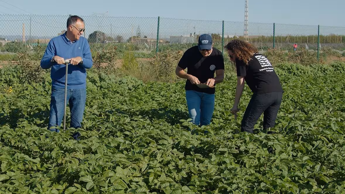 Juan Fern&aacute;ndez, Ra&uacute;l Zornoza e Irene Ollio (Foto UPCT)