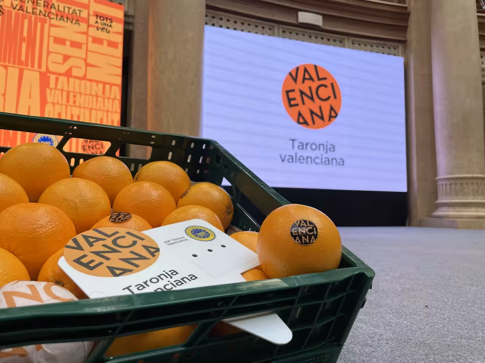 Una caja de naranja valenciana (Foto La Uni&oacute;)