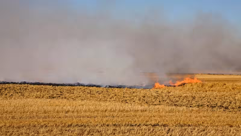 Incendio en una parcela agr&iacute;cola (Foto Asaja Extremadura)