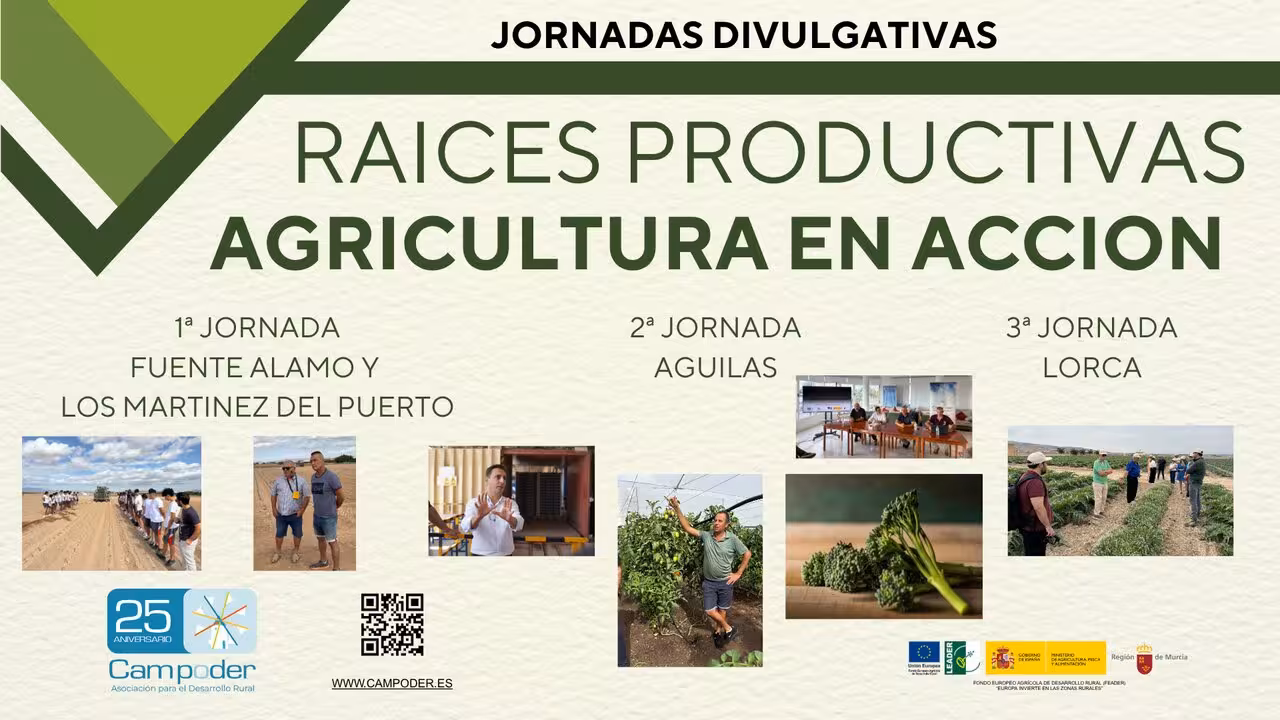 Cartel de las jornadas divulgativas 'Ra&iacute;ces Productivas'