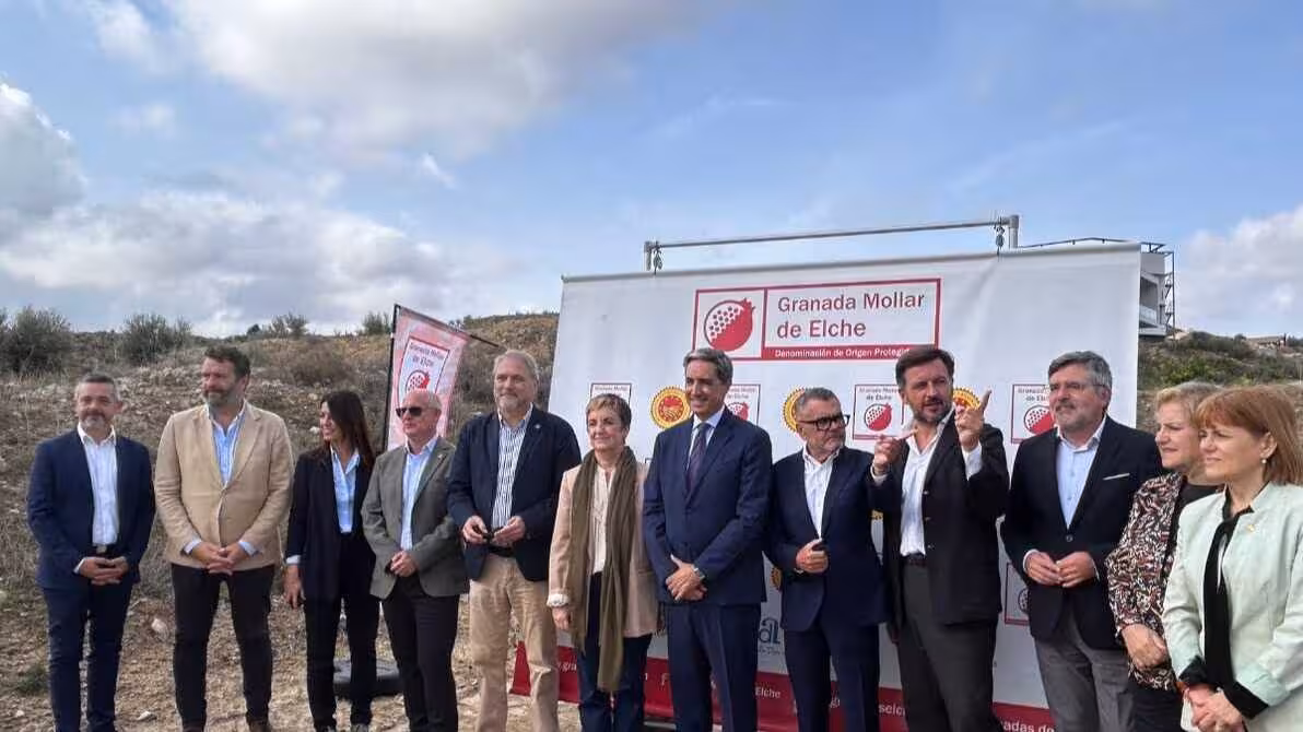Primer corte de la DOP Granada Mollar de Elche (Foto Ayuntamiento de Elche)
