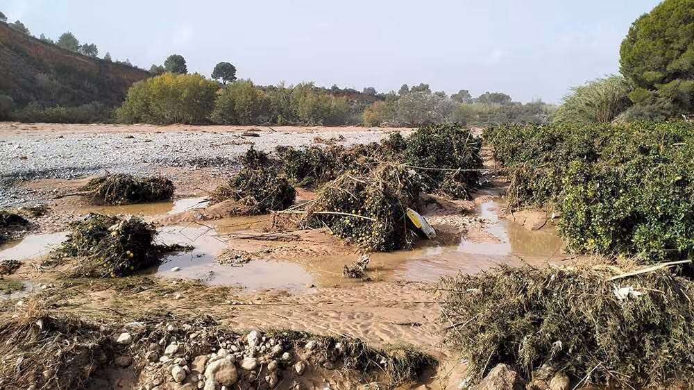 Finca agr&iacute;cola afectada por la DANA que ha pasado al dominio p&uacute;blico hidr&aacute;ulico (Foto AVA-Asaja)