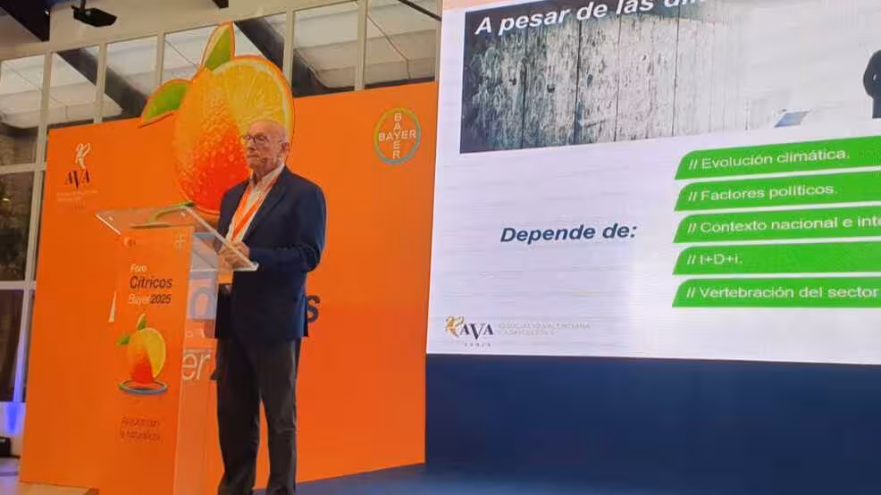 Foro de C&iacute;tricos (Foto AVA_Asaja)