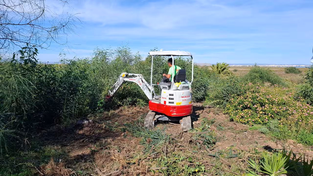 Maquinaria llevando a cabo las primeras labores de restauraci&oacute;n ecol&oacute;gica integral en El Carmol&iacute; (Foto CARM)