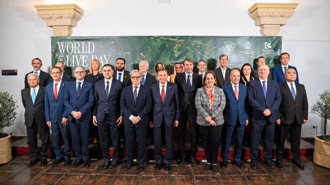D&iacute;a Mundial del Olivo en el plenario del Consejo Ole&iacute;cola Internacional/Declaraci&oacute;n de C&oacute;rdoba (Foto MAPA)