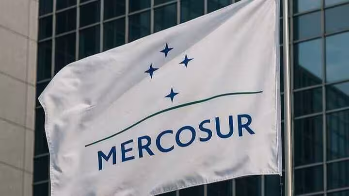 Bandera de Mercosur (Foto UdU)