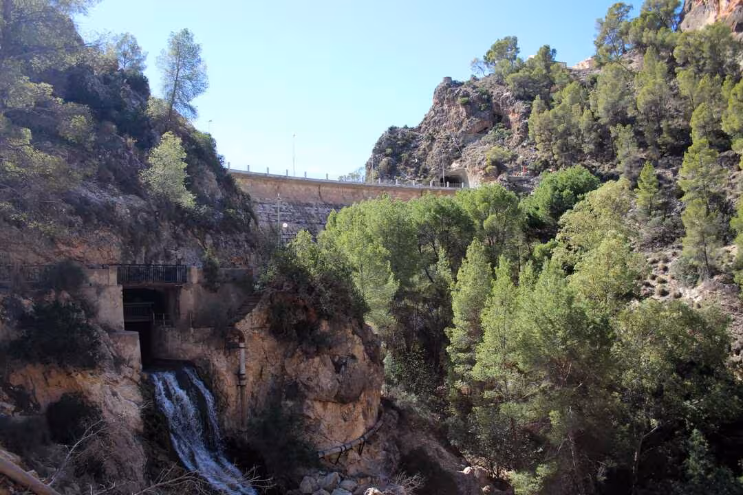 Presa de Alfonso XIII (Foto CHS)