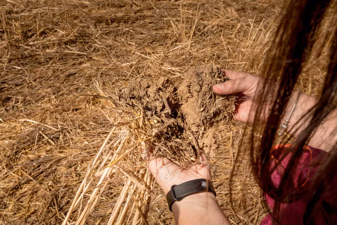 Proyecto &lsquo;Regenerative Innovation Portfolio: Navarra 360&ordm;&rsquo;