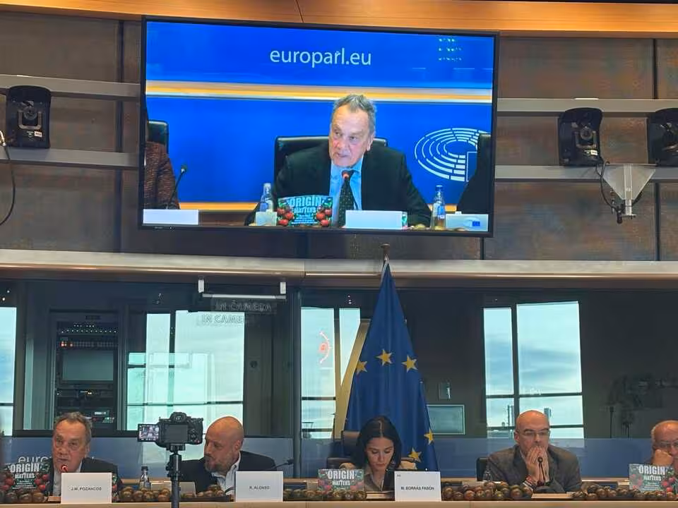 Participaci&oacute;n de Pozancos en una mesa redonda sobre el acuerdo UE-Marruecos organizada por Vox en el Parlamento Europeo (Foto Fepex)