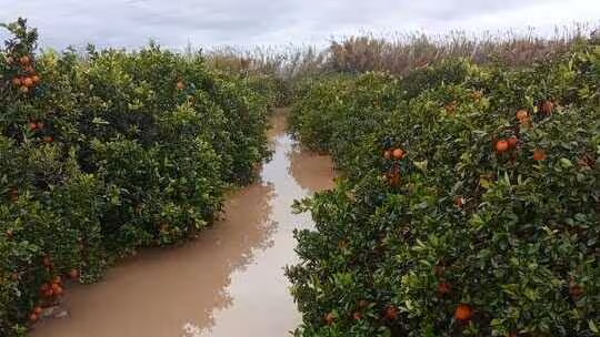 Finca anegada por las lluvias (Foto La Uni&oacute;)