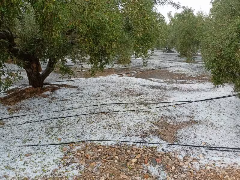 Da&ntilde;os por granizo (Foto La Uni&oacute;)