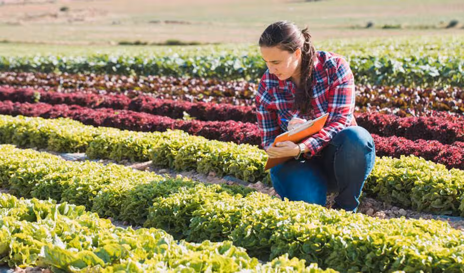 Una mujer agr&oacute;noma observa el estado de unas plantaciones (Foto Junta de Andaluc&iacute;a)