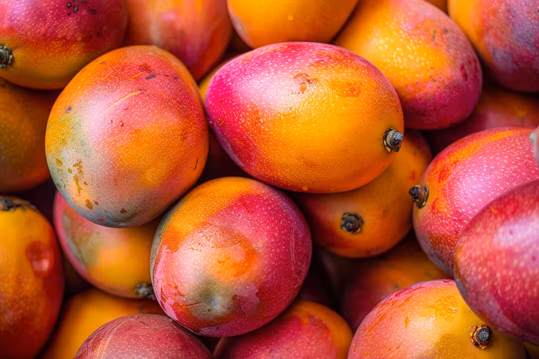 Mangos (Foto F. Seva)