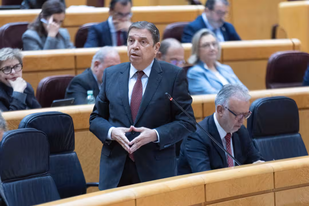 Luis Planas en la sesi&oacute;n de control al Gobierno en el Senado (Foto MAPA)