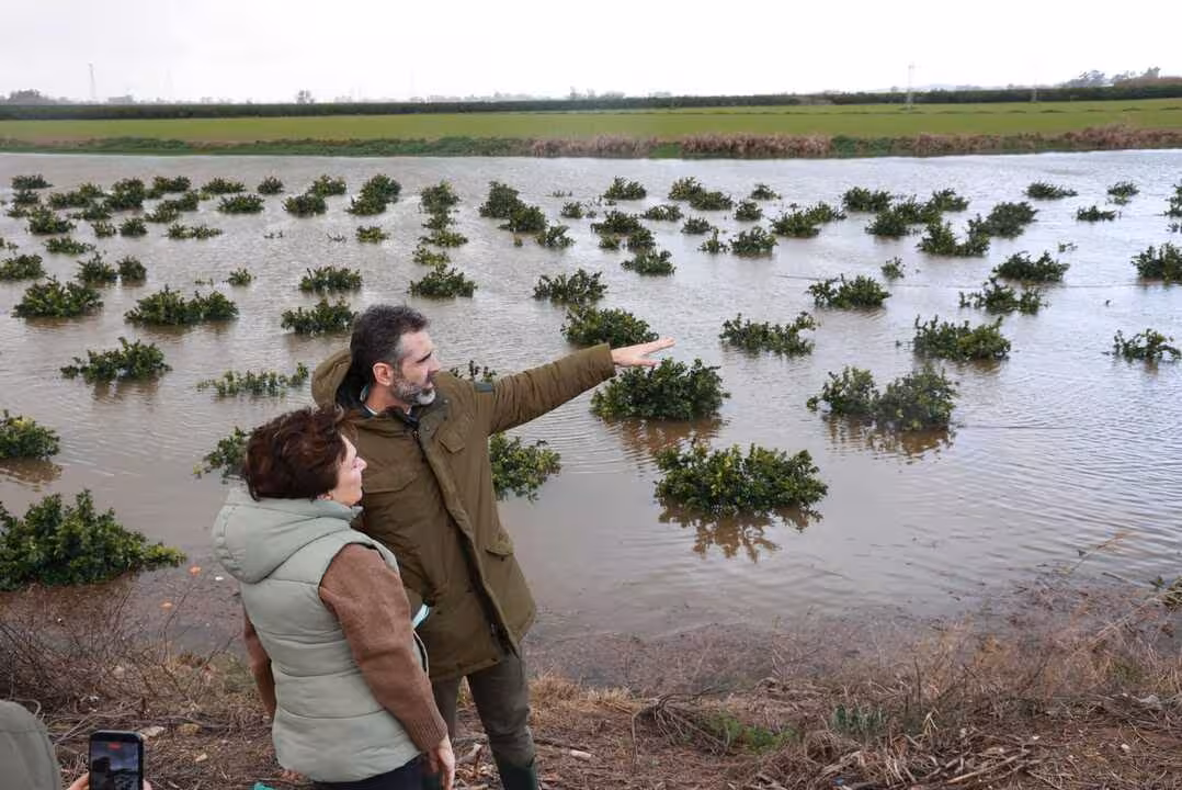 Fern&aacute;ndez Pacheco visita fincas anngadas en Cantillana (Foto Junta de Andaluc&iacute;a)