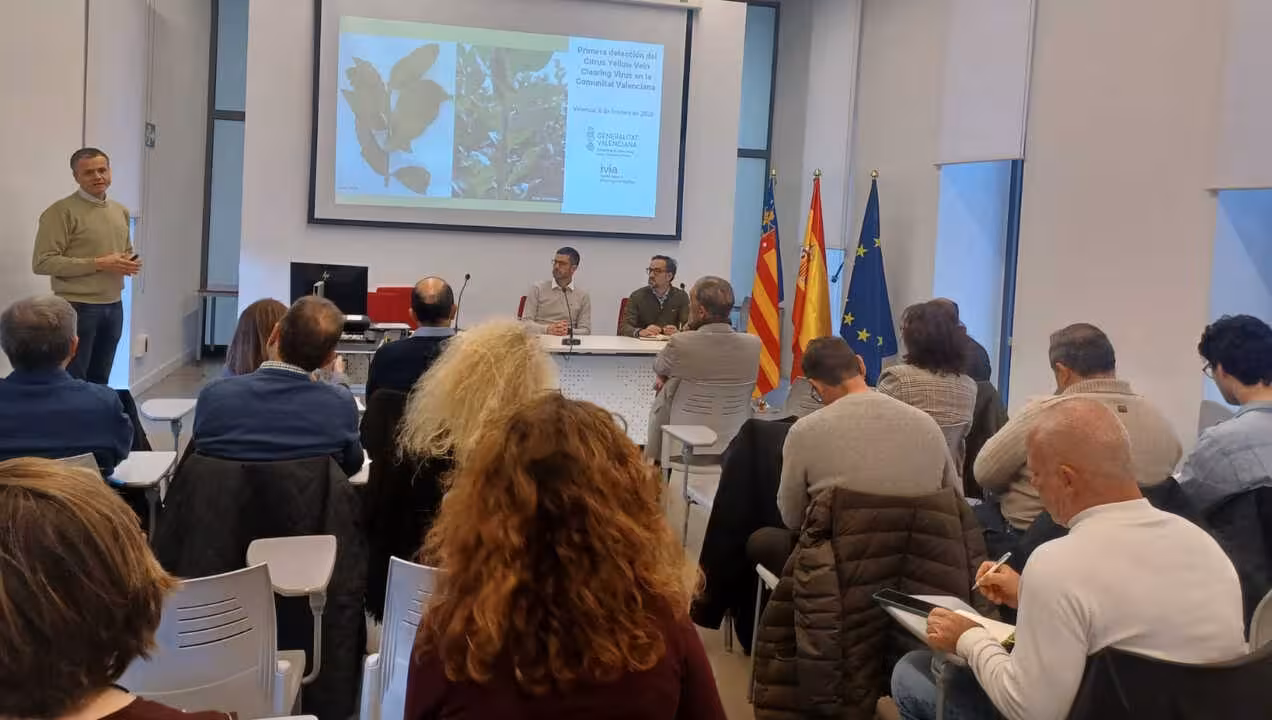 Reuni&oacute;n en la Conseller&iacute;a de Agricultura (Foto AVA-Asaja)