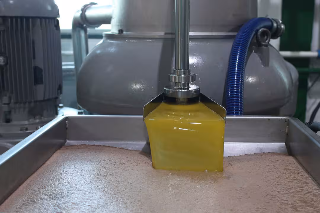 Producci&oacute;n de AOVE en una almazara (Foto  UPA)