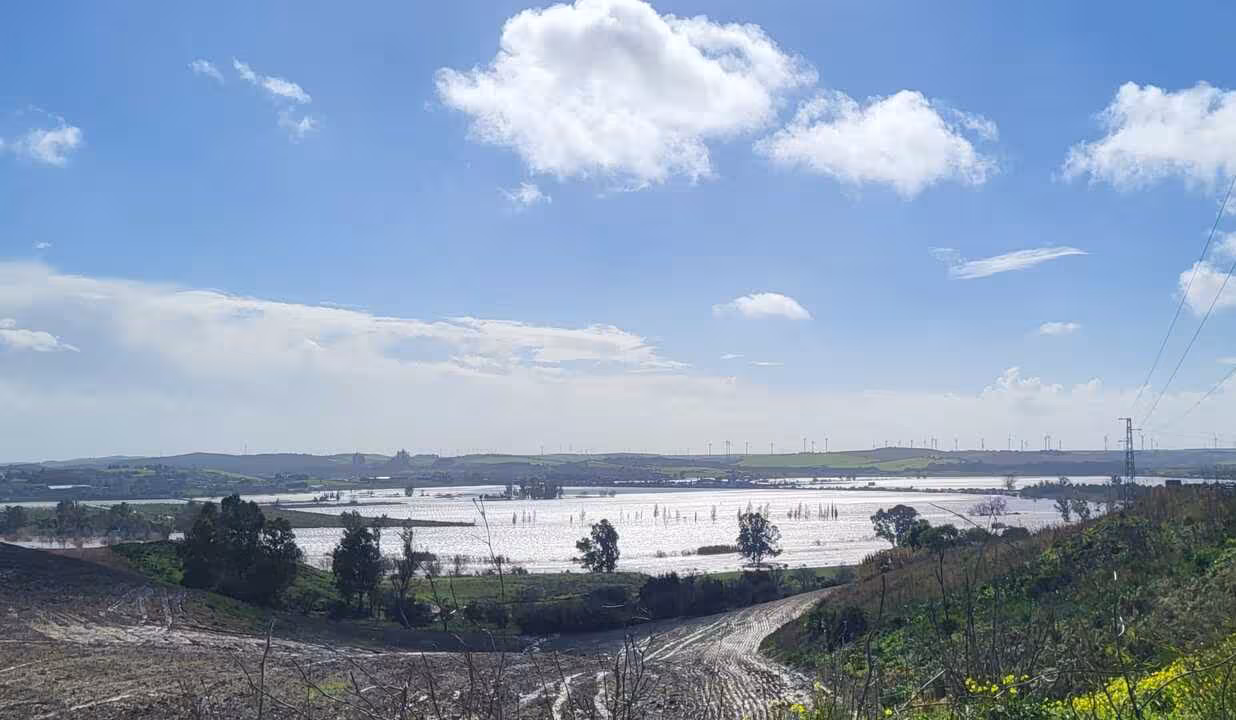La-Cartuja-Guadalete-Inundaciones (Foto COAG Andaluc&iacute;a)