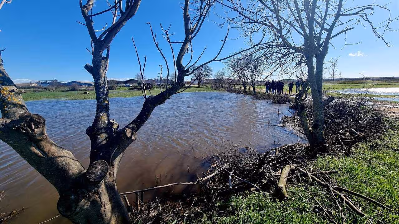 Da&ntilde;os por las borrascas en Moraleja (Foto Delegaci&oacute;n del Gobierno en Extremadura)