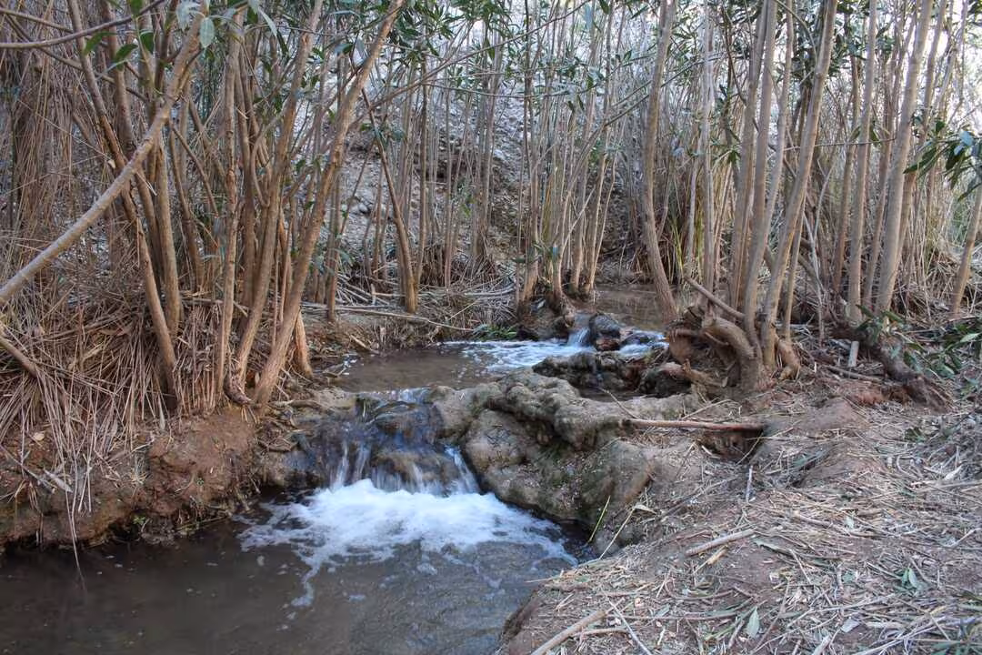 R&iacute;o Ch&iacute;camo (Foto CHS)