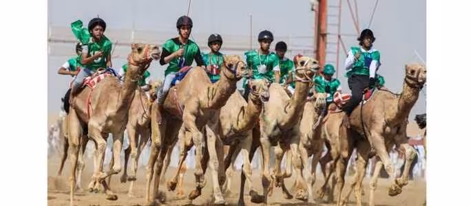 Carreras de camellos (Foto COAG)