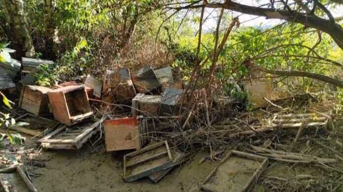 Da&ntilde;os en colmenas ap&iacute;colas por el tren de borrascas (Foto COAG Andaluc&iacute;a)