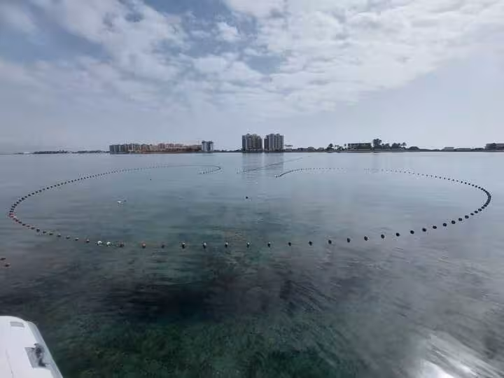 Pesca tradicional conocida como 'charamita' para la captura del langostino del Mar Menor (Foto CARM)