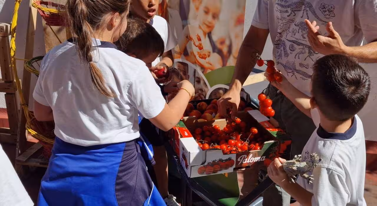 Reparto de raciones en un colegio de Madrid dentro del Programa Escolar de Consumo de Frutas, Hortalizas y Leche de la Uni&oacute;n Europea (Foto Proexport)