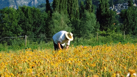 Agricultor seguro agrario (Foto Magrama)