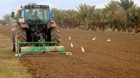 Tractor labrando un campo en Guardamar (Foto Generalitat valenciana)