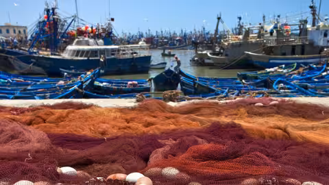 Redes y barcos en puerto pesquero (Foto Magrama)