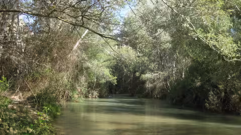R&iacute;o Segura con especies aut&oacute;ctonas (Foto CARM)