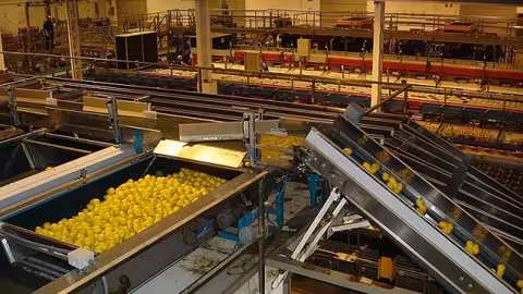 Industria agroalimentaria limones (Foto COIARM)