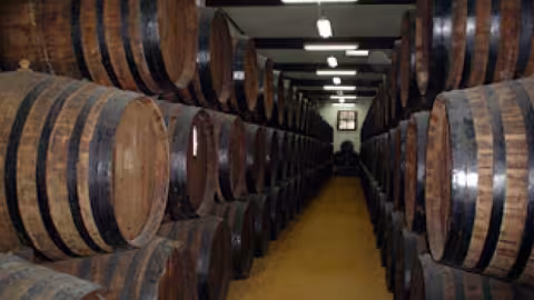 Barriles de una bodega (Foto Junta de Andaluc&iacute;a)